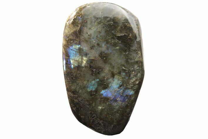 Flashy, Free-Standing Polished Labradorite - Madagascar #237871